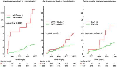 Circulating Biomarkers and Cardiac Structure and Function in Rheumatoid Arthritis